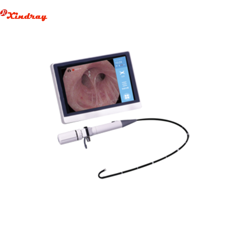 Endoscopio electrónico ENT Videobroncoscopio portátil
