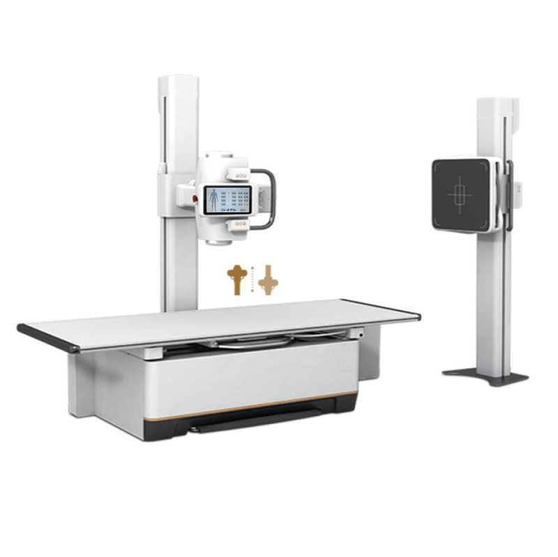 模板主图Logotipo de Alibaba Xindray2023